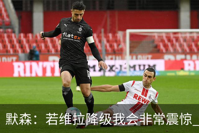 默森：若维拉降级我会非常震惊 阿森纳将以两位数积分优势夺冠